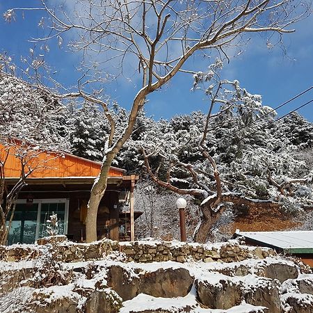 Bluesky Pension Pocheon Exterior photo