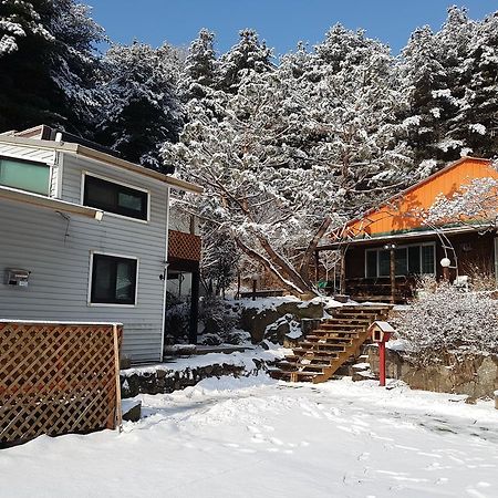 Bluesky Pension Pocheon Exterior photo
