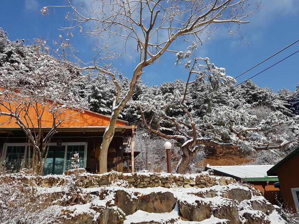 Bluesky Pension Pocheon Exterior photo