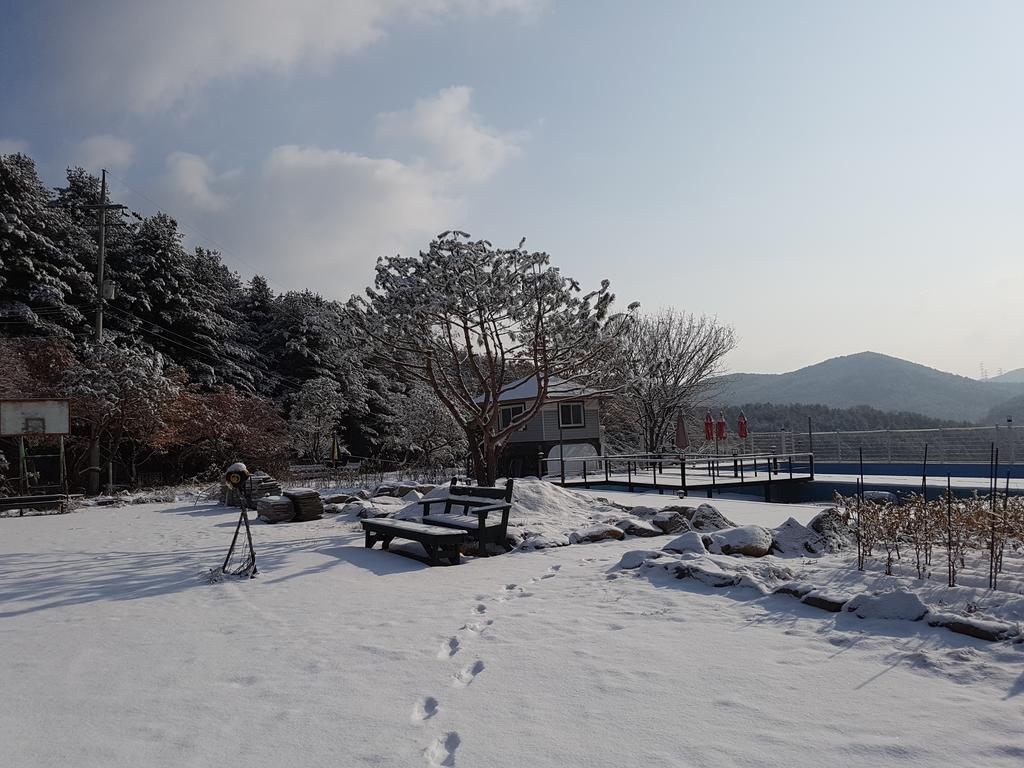 Bluesky Pension Pocheon Exterior photo