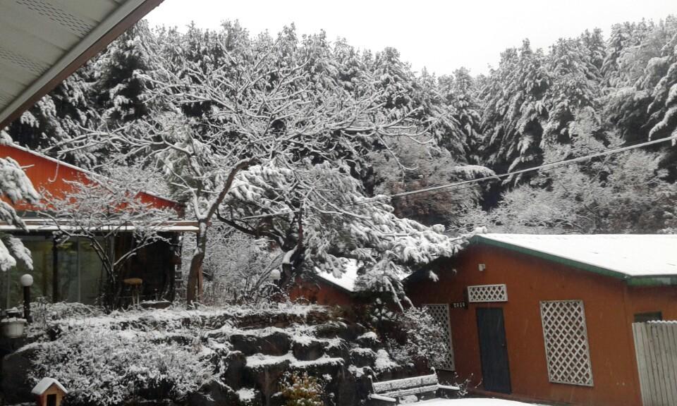 Bluesky Pension Pocheon Exterior photo